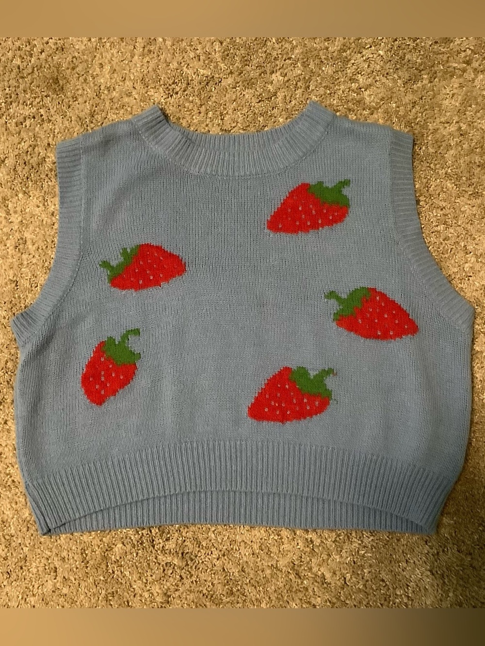 Blue Strawberry Knit Sweater Vest
